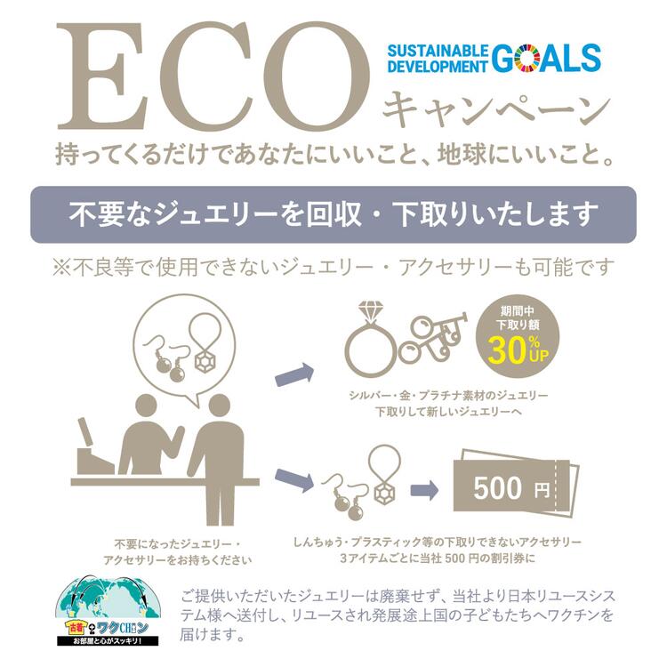 エコキャンペーン