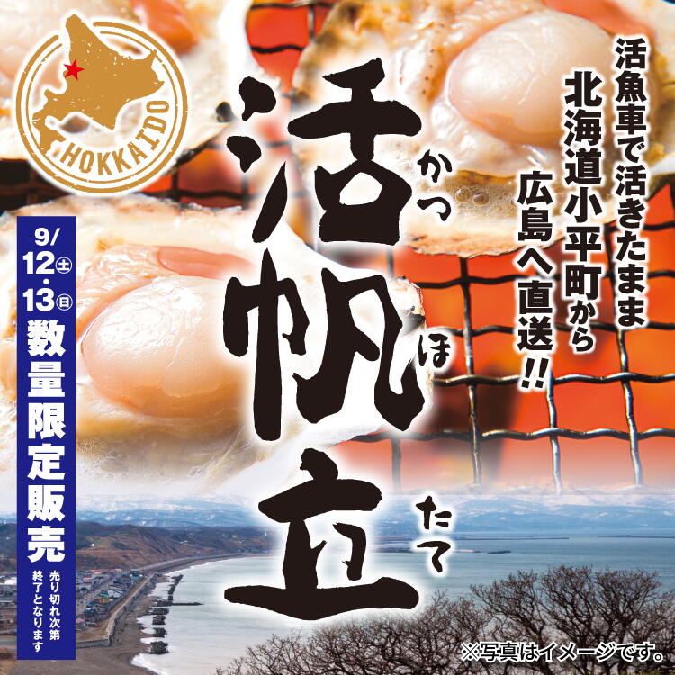 【9/12(土)・13(日)】北海道から直送の「活帆立」数量限定販売イベント開催!!